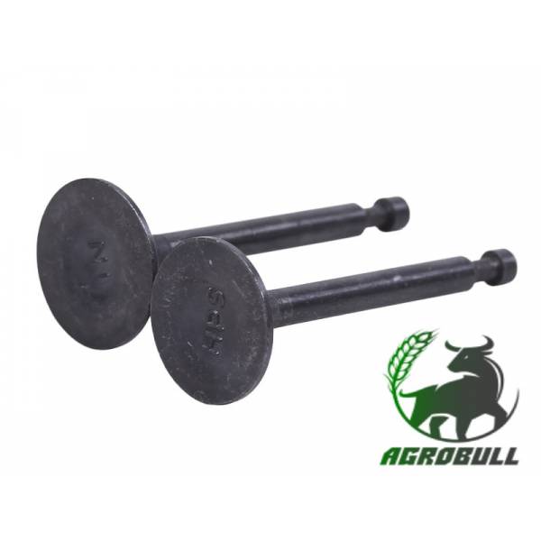 Клапани, к-т: 2 шт. - 168F Y-BOX - 36058