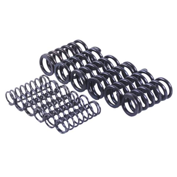 Пружини натискного диска, к-т: 12 шт. - MFC - TTG - 40684