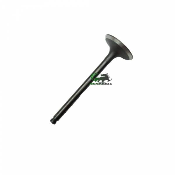 Запчасть Клапан впускной JD15 H-120 (DW 160LX) - 86258