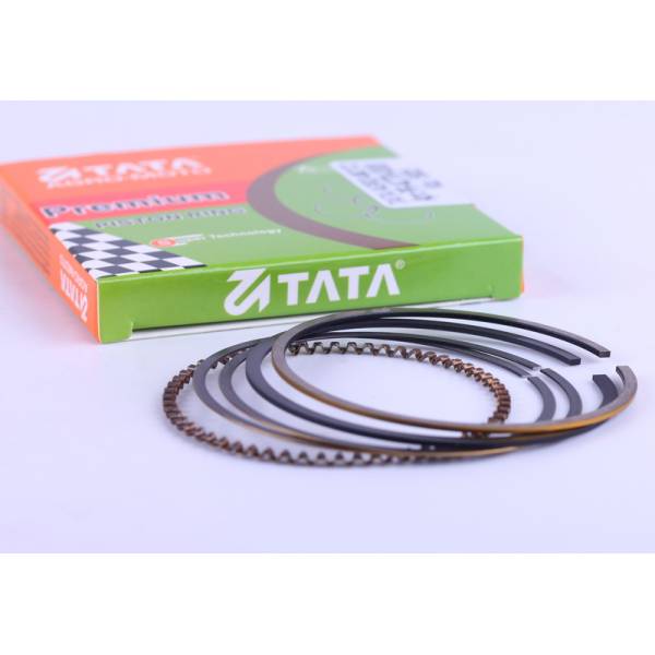 Кольца 52,0 mm STD (110сс) - Актив/Дельта/Альфа - Premium - 19005